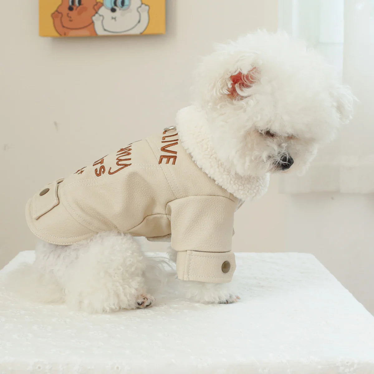 Warm Leather dog coat with adjustable straps and a soft inner lining, designed for warmth and style