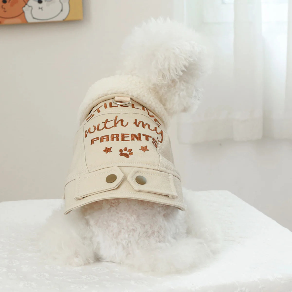 Leather dog coat with adjustable straps and a soft inner lining, designed for warmth and style