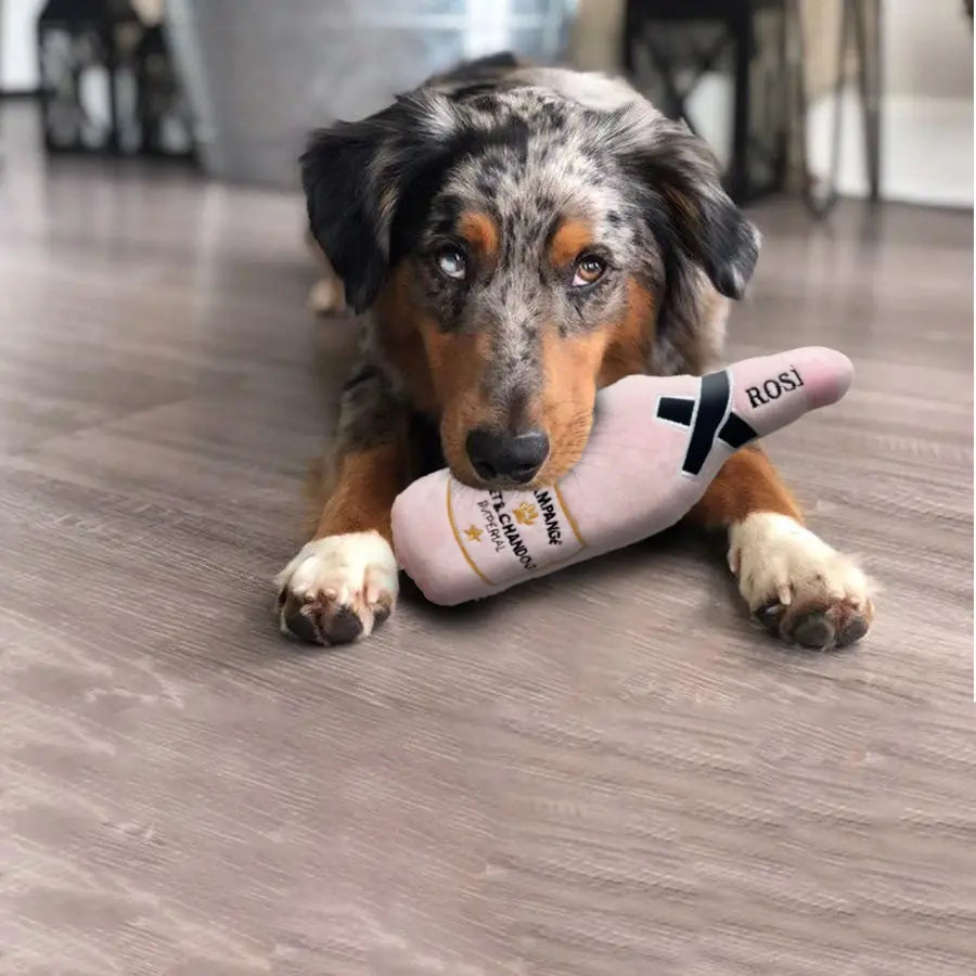 Fun Toys for the Good Girls and Boys