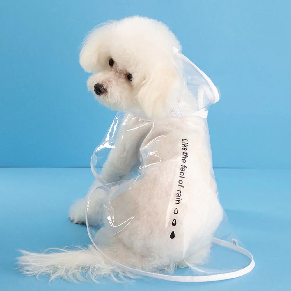Barking In the Rain - Waterproof Raincoat
