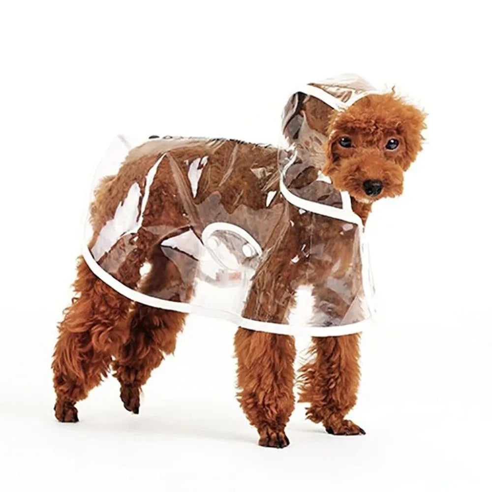 Barking In the Rain - Waterproof Raincoat