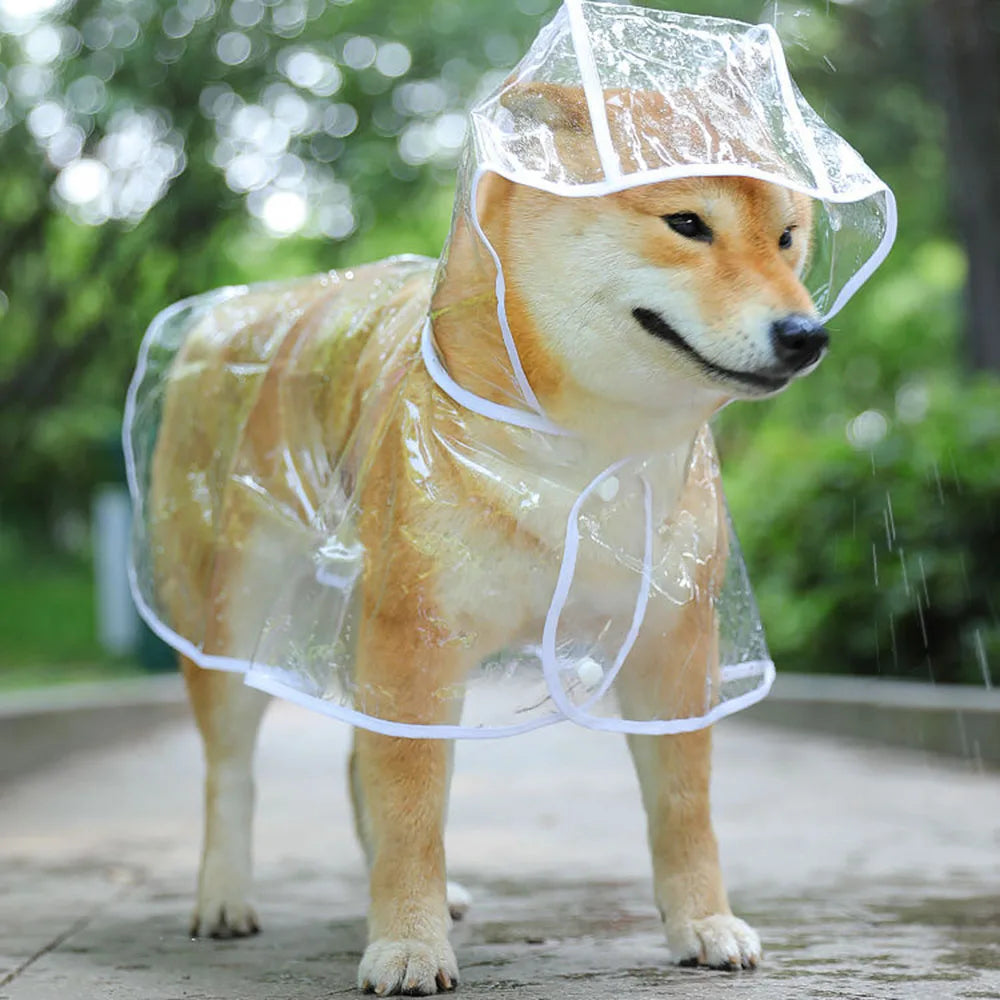 Barking In the Rain - Waterproof Raincoat
