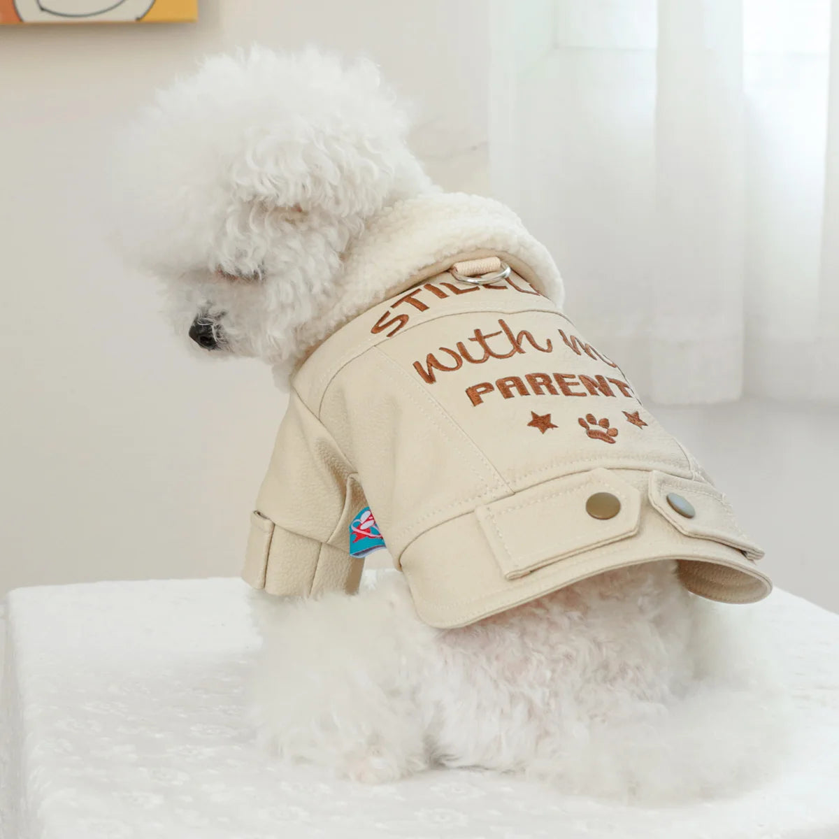 beige soft leather dog coat jacket leather dog coat with front snaps and a soft inner lining, designed for warmth and style