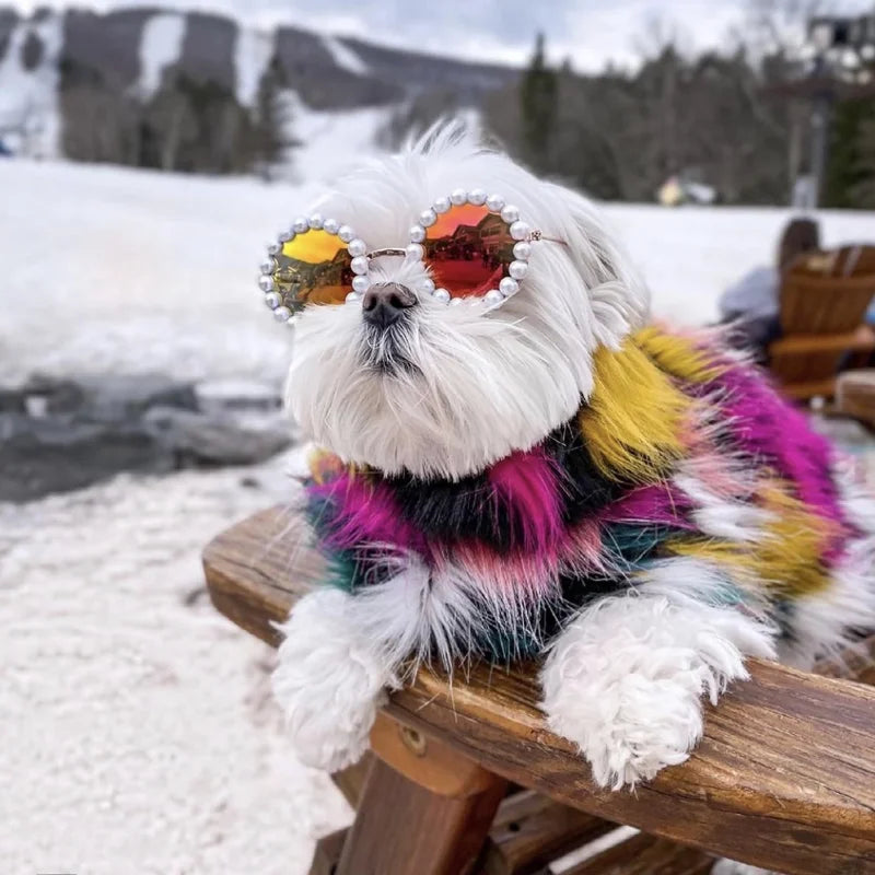 Pearl Eyes - Stylish Sunglasses