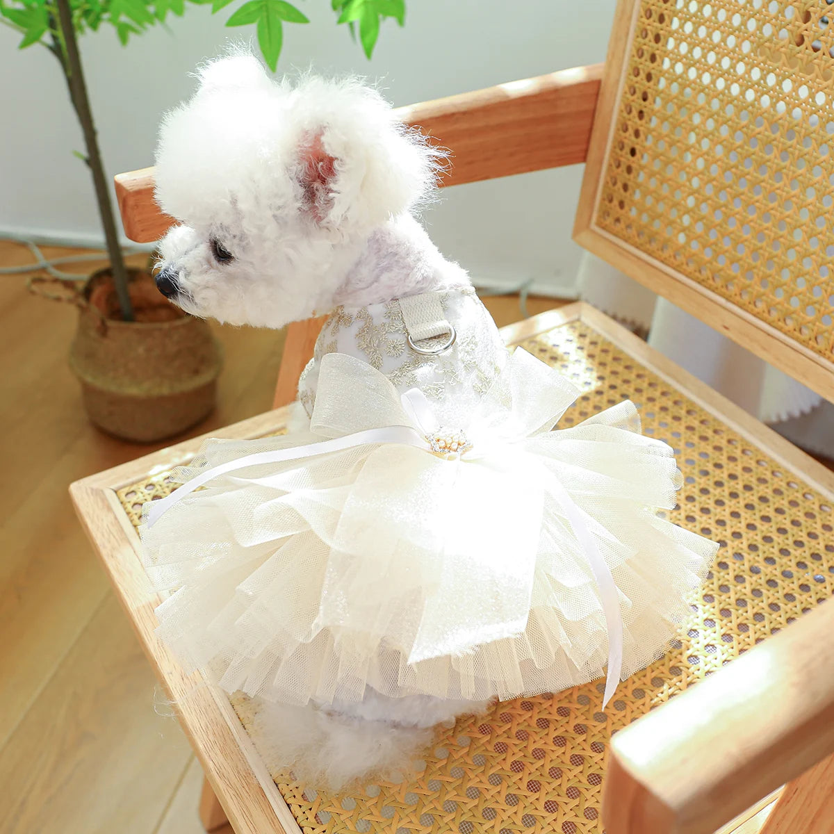 Always a Bridesmaid, Never a Bride - Tulle Dress