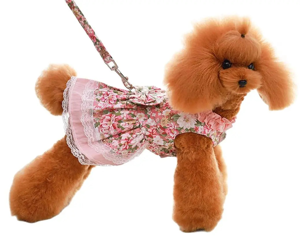 Martha's Vineyard Summer Garden Dress/Harness