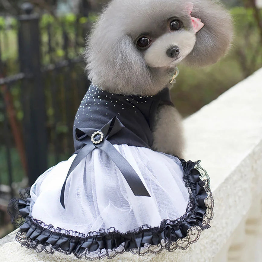 Black Fancy Dog Dress