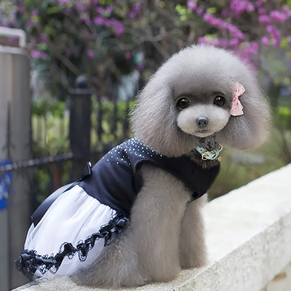 Black Fancy Dog Dress