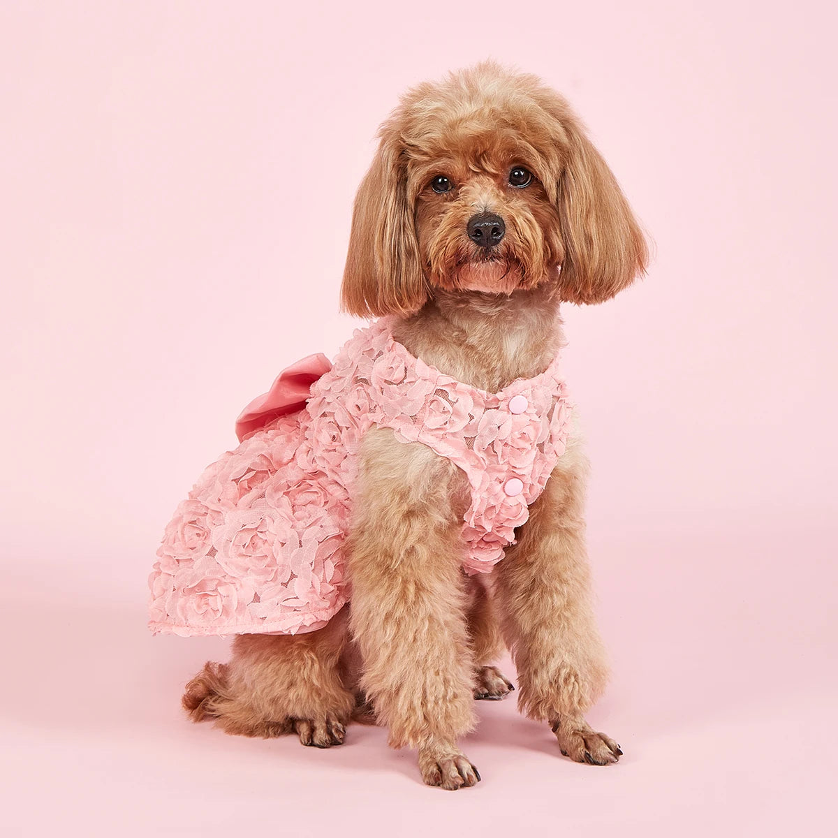 English Garden Tea Party Dress