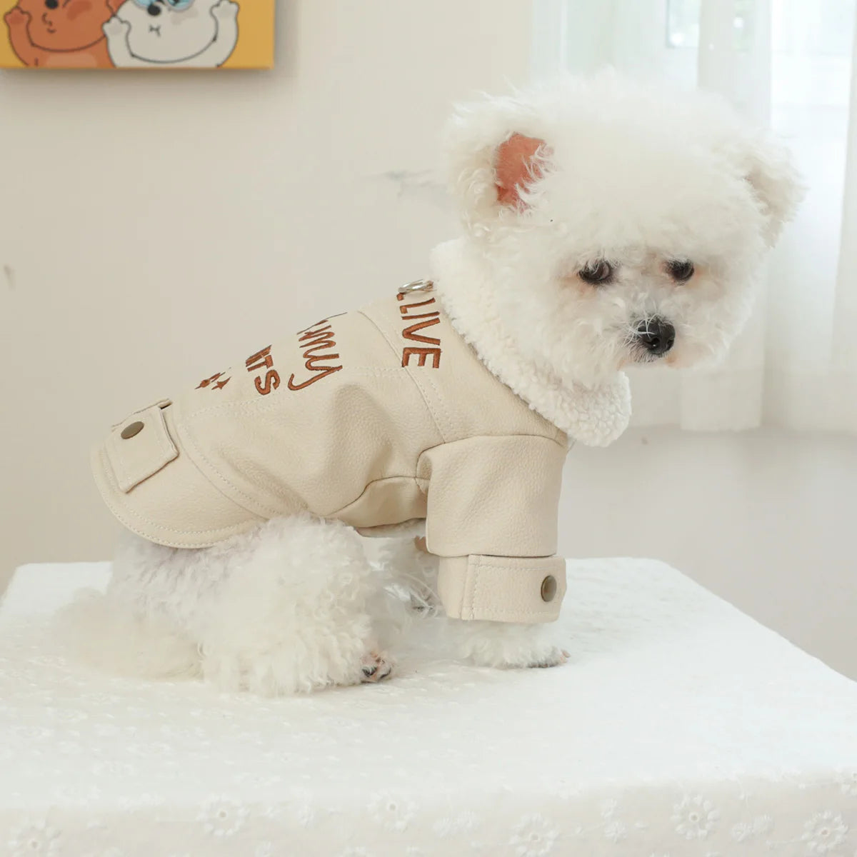 leather dog coat in beige