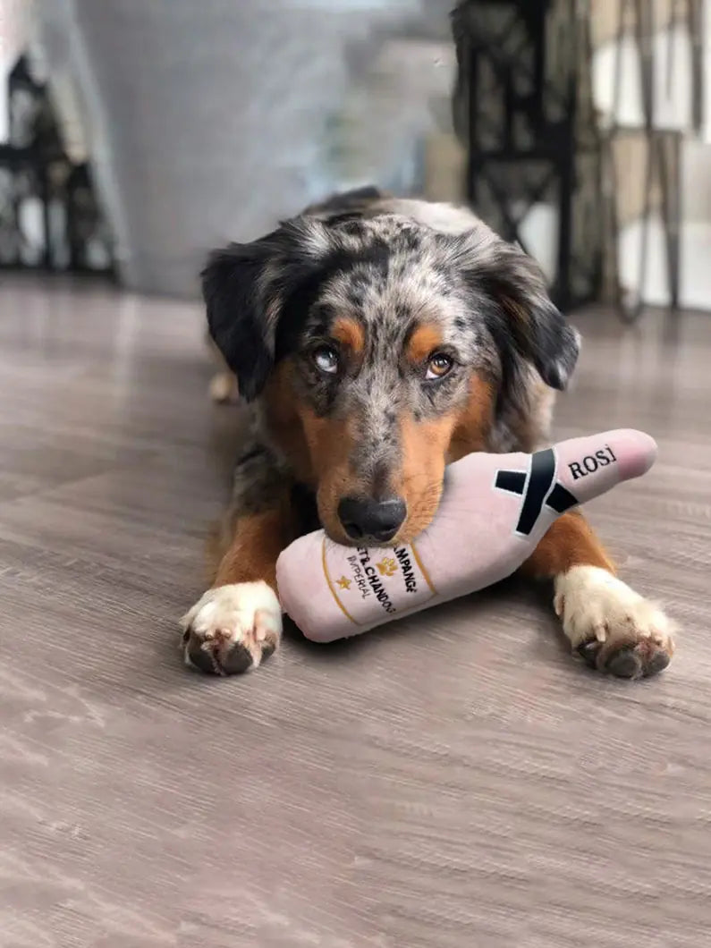Fun Toys for the Good Girls and Boys