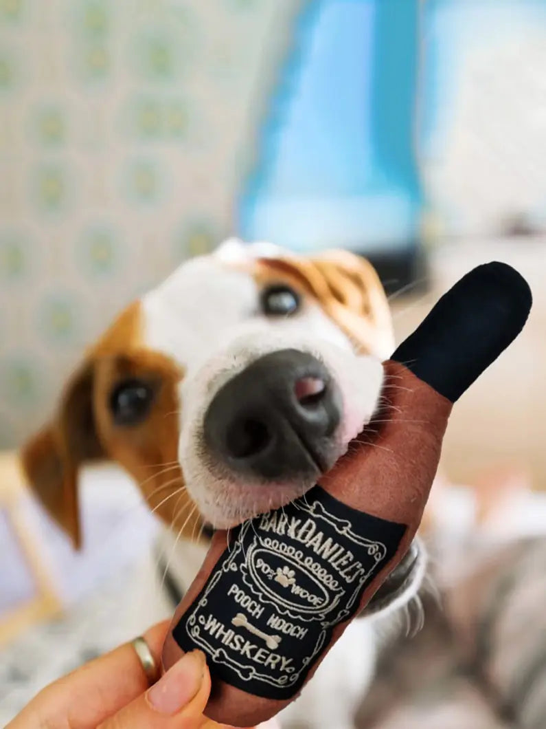 Fun Toys for the Good Girls and Boys