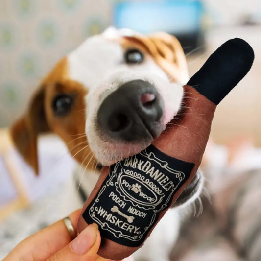 Fun Toys for the Good Girls and Boys