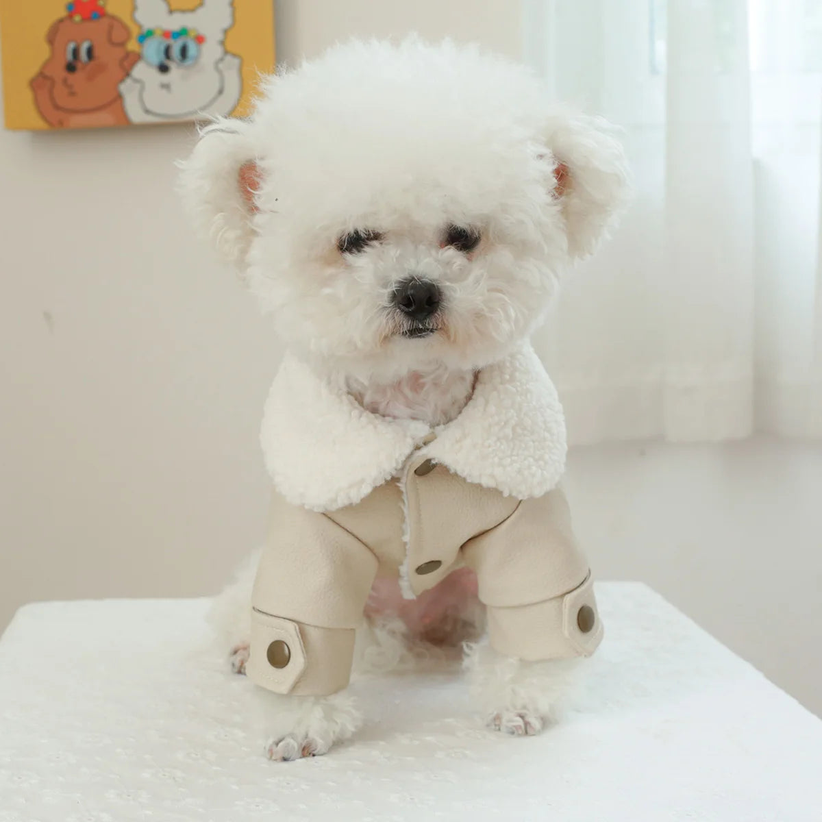 leather and fleece dog coat 