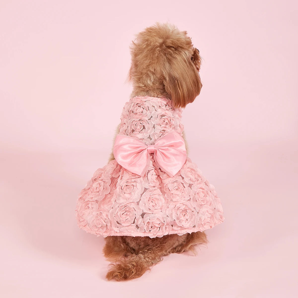 English Garden Tea Party Dress