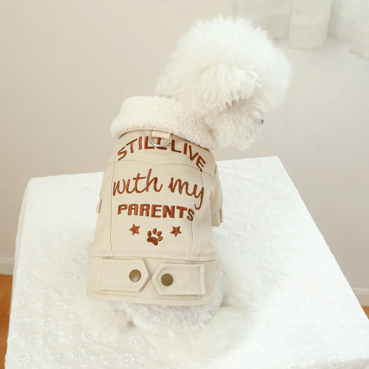 dog leather coat jacket 