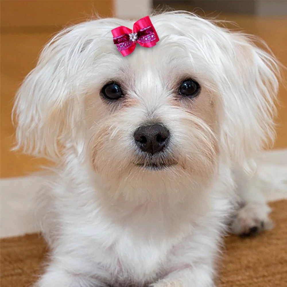 Colourful Elastic Glam-Girl Hair Bows